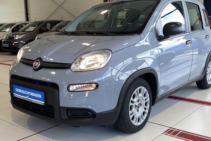 Fiat Panda 12.903 km 11.990 &euro; Buchholz in der Nordheide 21244