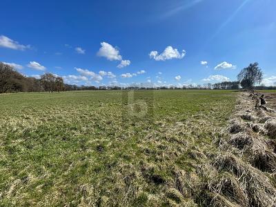 GROßE FLÄCHE MIT VIELSEITIGER NUTZUNG - Grundstück Oststeinbek | Angebot:26035365