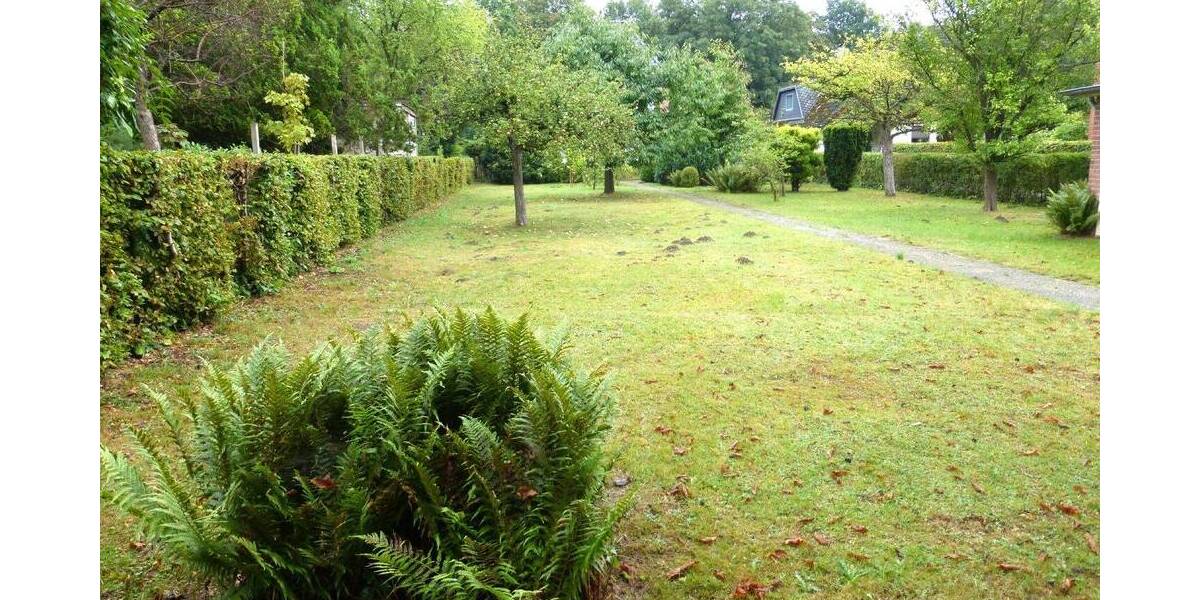 Baugrundstück mit Altbestand (