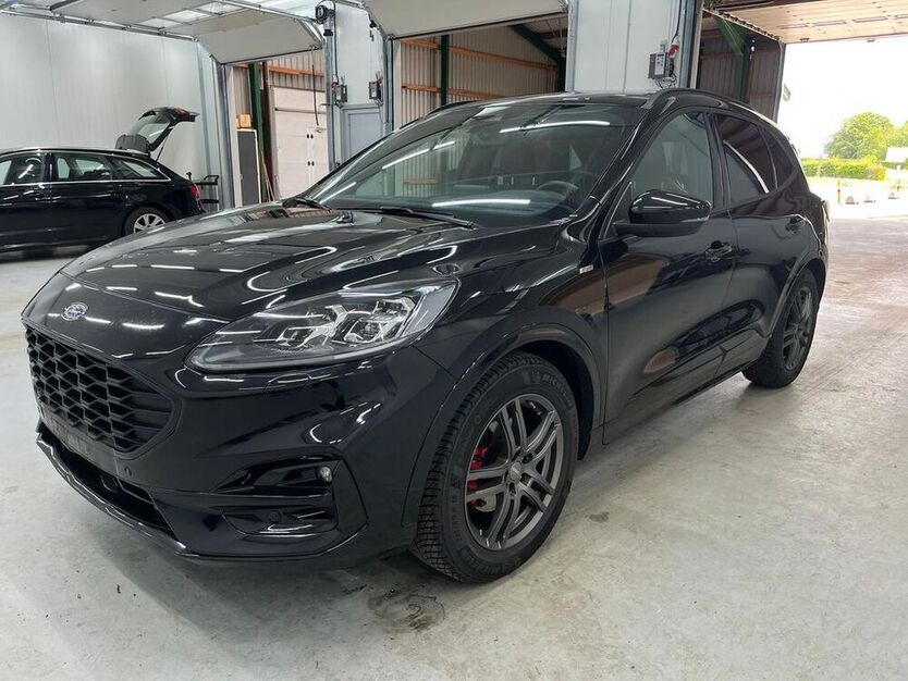 Kuga