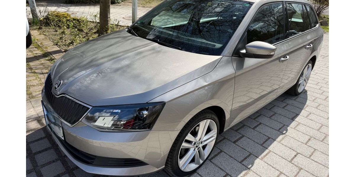 Skoda Fabia 47.600 km 12.899 &euro; Hamburg 22549