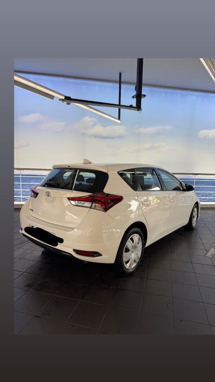 Auris