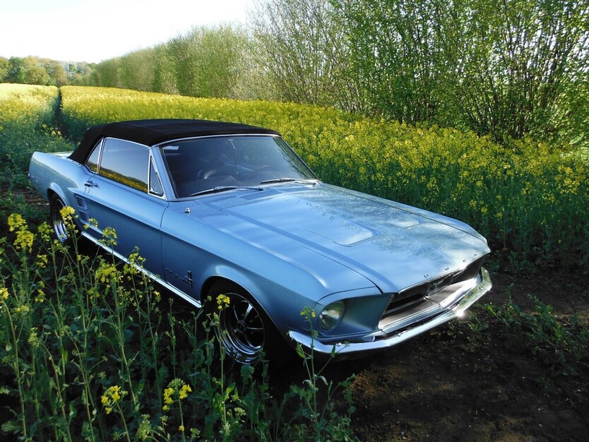 Mustang