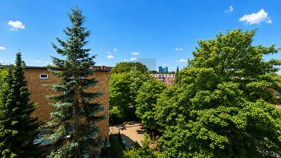 WOHLFÜHLEN MIT BALKON & TIEFGARAGE - Etagenwohnung Hamburg Eilbek Eilbek | Angebot:27072371