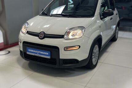 Fiat Panda 24.129 km 10.990 &euro; Buchholz in der Nordheide 21244