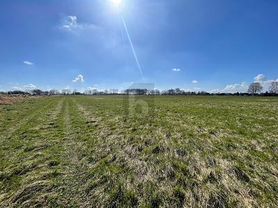 GROßE FLÄCHE MIT VIELSEITIGER NUTZUNG - Grundstück Oststeinbek | Angebot:26035365