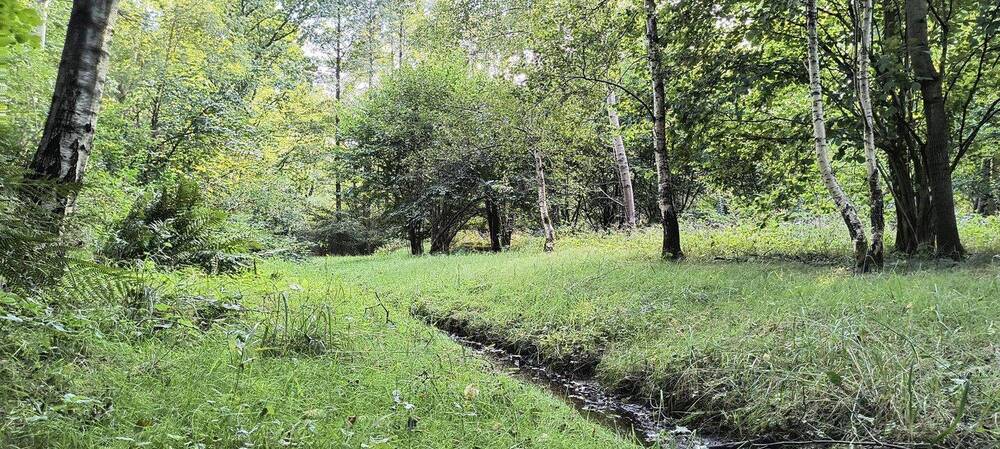 Einfamilienhaus Hamburg Langenhorn - 7 Zimmer, 200 m&sup2;, 650.000&euro; | Angebot:26882598
