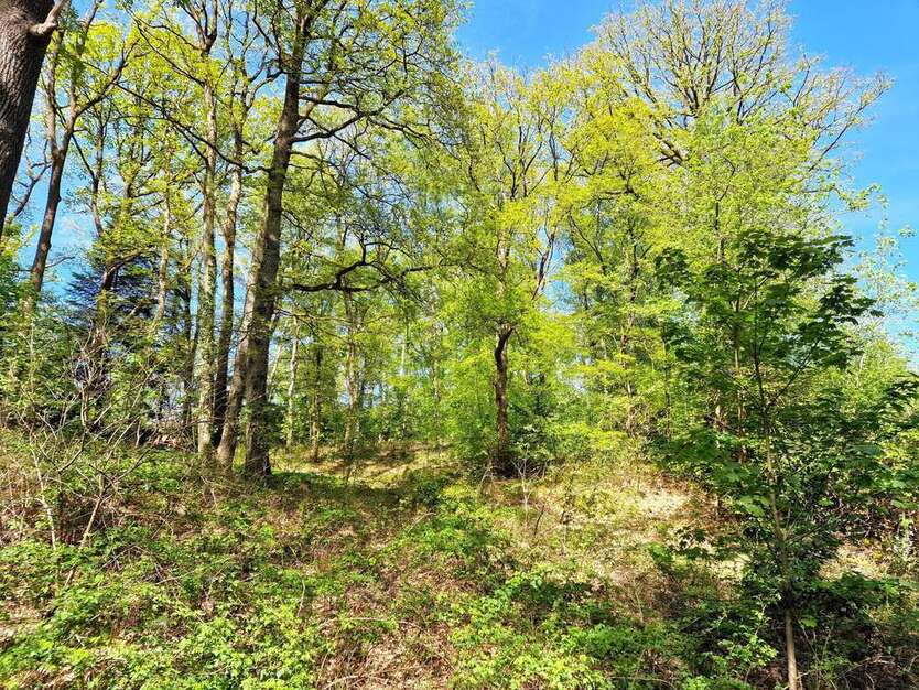 Grundstück zu verkaufen in Seevetal 779.000 € 4018 m²