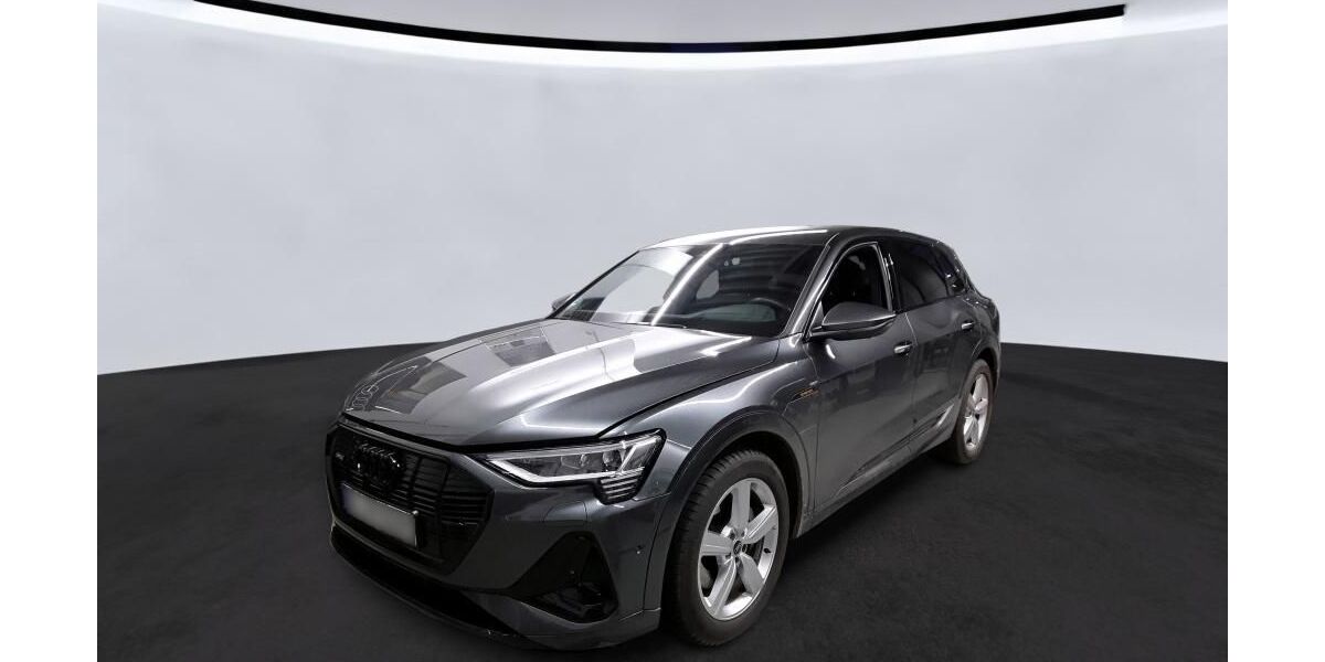 Audi e-tron 41.190 km 36.990 &euro; Hamburg 22047