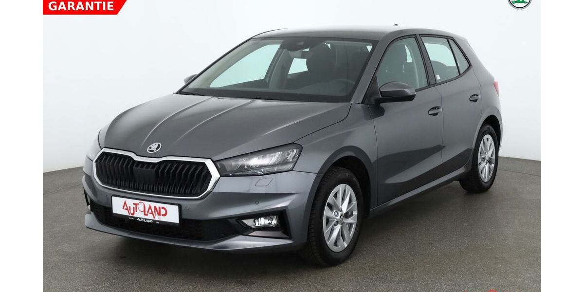 Skoda Fabia 26.493 km 19.890 &euro; Hamburg 22761