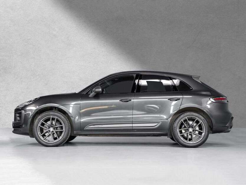 Macan