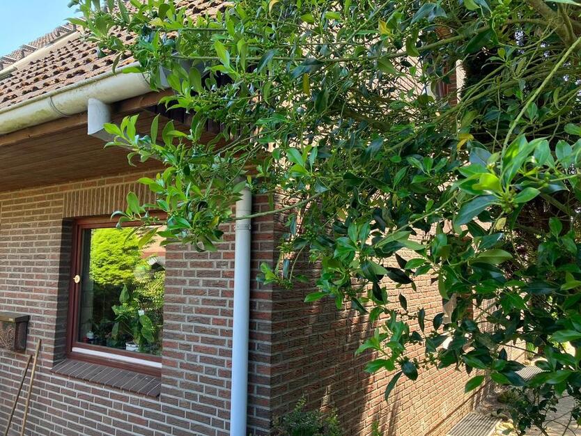 Doppelhaushälfte (Semmelhaack-Haus) in UetersenWiesengrund, VB