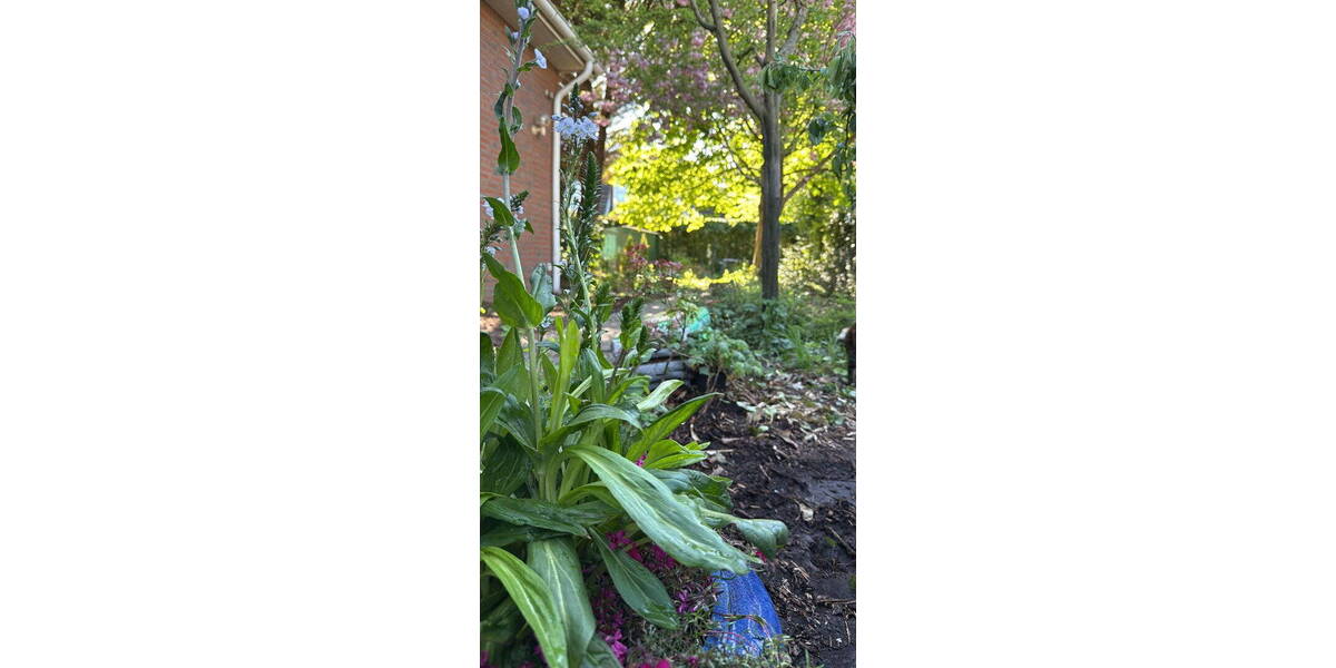 Einfamilienhaus Wedel - 5 Zimmer, 160 m&sup2;, 760.000&euro; | Angebot:26847409