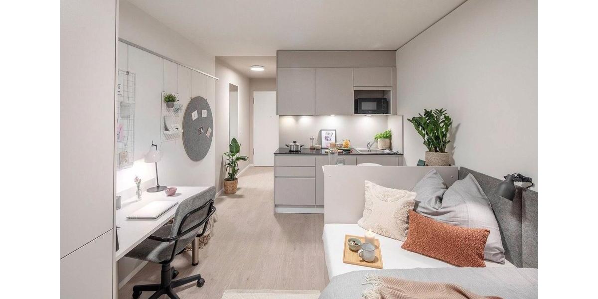 Appartement zum 1.6.2026 zu vermieten 1 zimmer