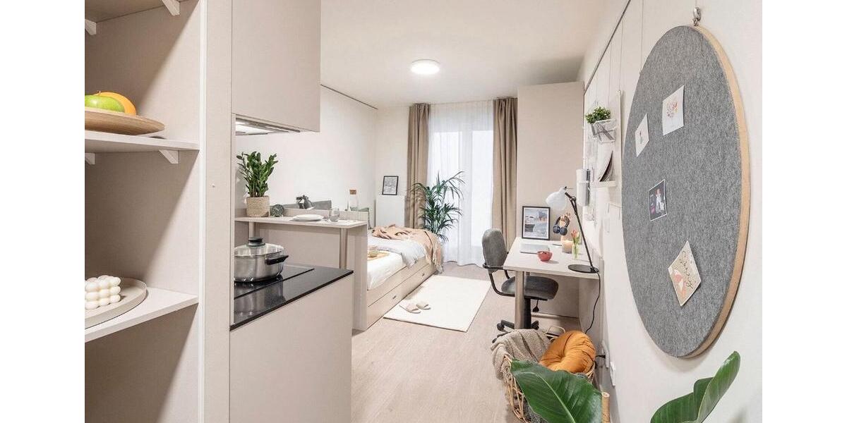 Appartement zum 1.6.2026 zu vermieten 1 zimmer