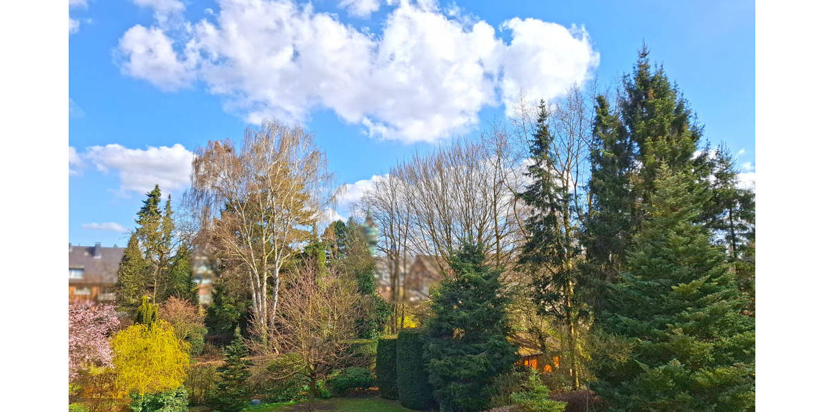 Etagenwohnung Hamburg Lokstedt - 3 Zimmer, 115 m&sup2;, 1.800&euro; | Angebot:26065049