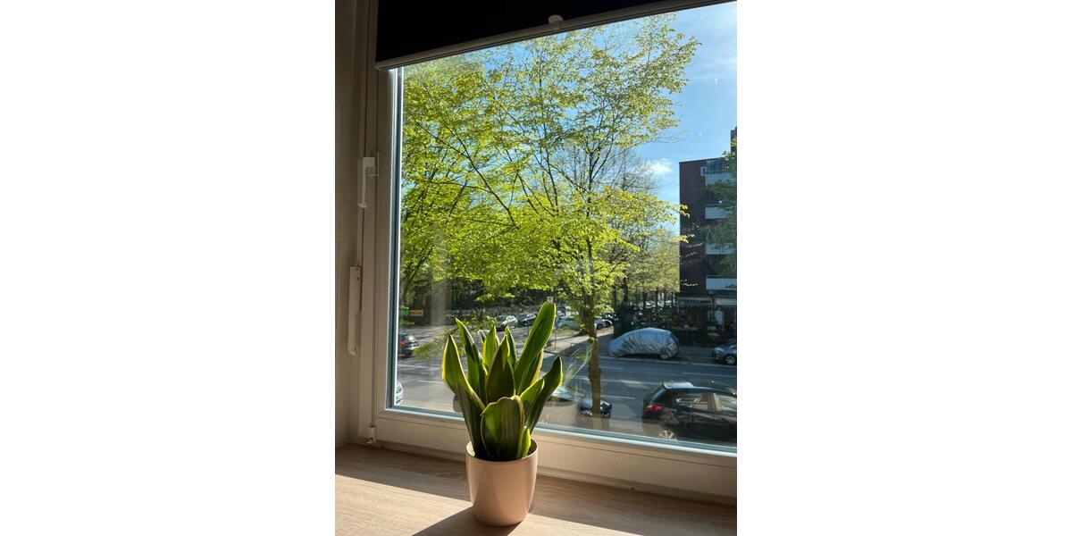 Erdgeschoßwohnung Hamburg Winterhude - 3 Zimmer, 62 m&sup2;, 130&euro; | Angebot:26306055