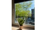 Erdgeschoßwohnung Hamburg Winterhude - 3 Zimmer, 62 m&sup2;, 130&euro; | Angebot:26306055