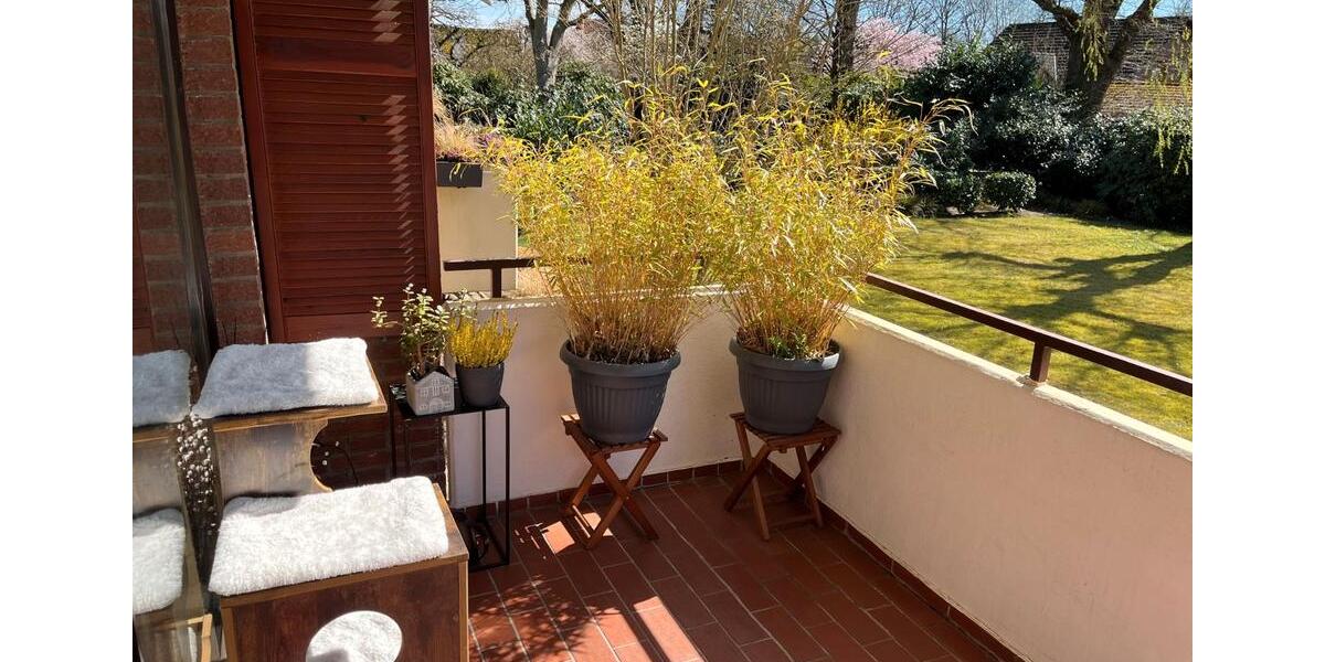 Hochparterre Seevetal Hagolt - 2 Zimmer, 60 m&sup2;, 245.000&euro; | Angebot:26819824